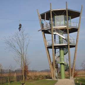 Steeds meer uitkijktorens in Kempische en Belgische&nbsp;natuur