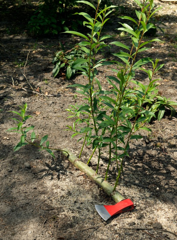 005.PALACE IN WONDERLAND 2015-PH.GJ.vanROOIJ