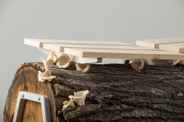 WimButs&HannePut_BEYOND_FOOD_AND_DESIGN_KVRANCKEN_2015_8657